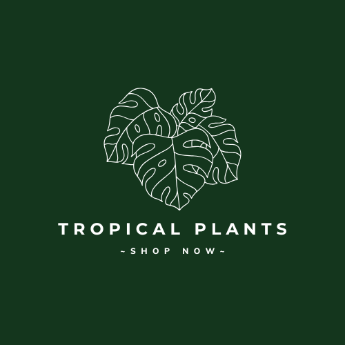 Tropical Plants